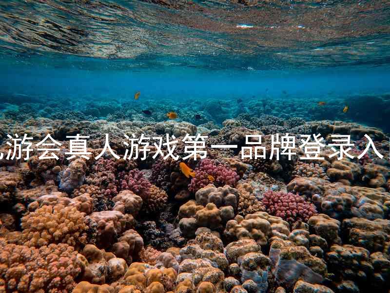 九游会真人游戏第一品牌登录入口